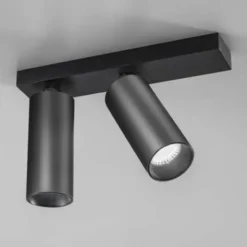 Plafoniera orientabile 2 luci Gea Led